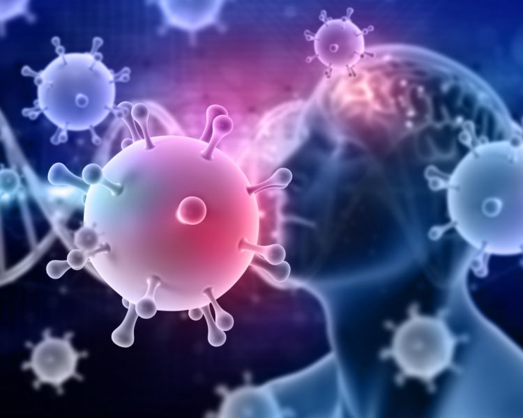 Sistemas de producción de nanopartículas (LNP, Microemulsiones, etc.) 