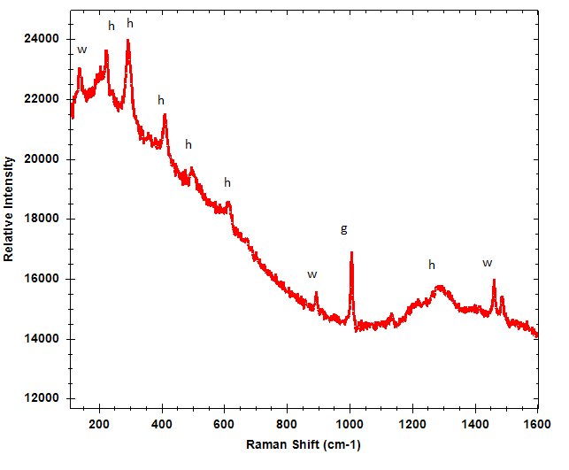Raman-Spektrum einer in situ bei Tageslicht gemessenen Höhlenmalerei mit Peaks des Pigments Hämatit (h) und Ablagerungen von Gips (g) und Whewellit (w). 