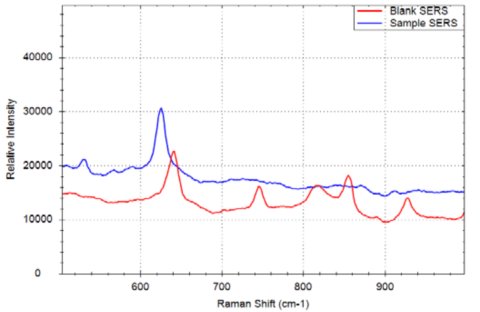 Spettri Raman di una superficie SERS vuota (rossa) e un materiale campione su SERS