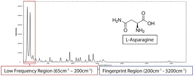 LF Spectrum L-Asparagine