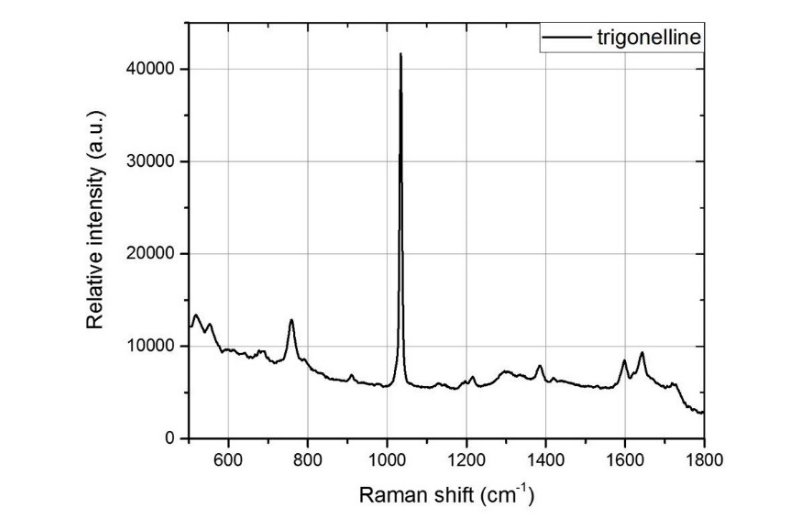 Raman spectrum of trigonelline solution at 250 mM