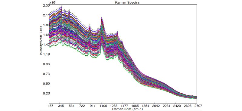 Unprocessed TRS spectra of the nine tablet blends collected by QTRam.