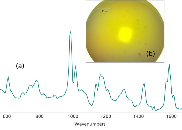 . (a) Raman spectrum of polystyrene collected from (b) a  polystyrene bead. 