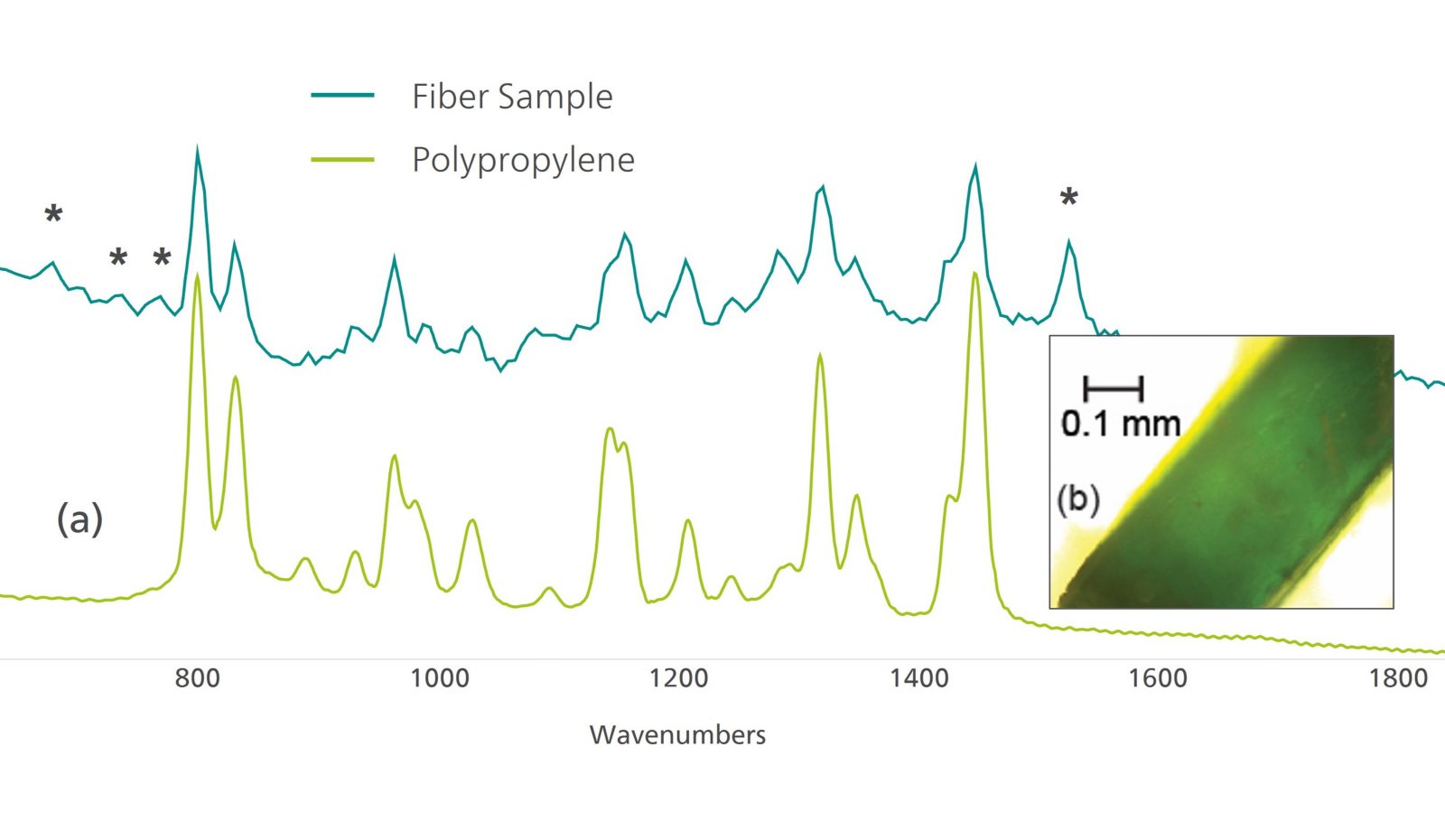 BWID matched the Raman spectrum of  the sample to a reference spectrum of  polypropylene, with a calculated HQI of 74.9. 