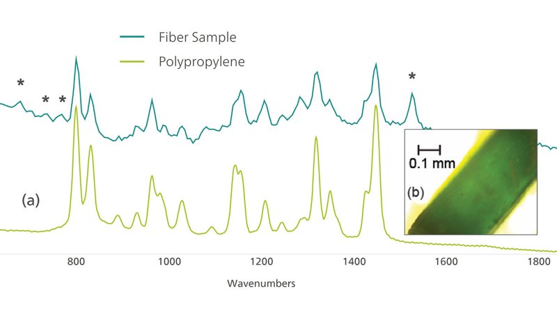 BWID matched the Raman spectrum of  the sample to a reference spectrum of  polypropylene, with a calculated HQI of 74.9. 