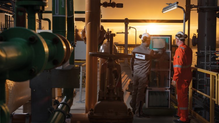 Metrohm Process Analytics, Process Service Engineer, chemical industry, 2060 Process Analyzer, training customer, petrochemical refinery, on-site training