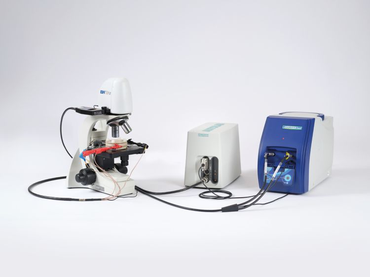 Soluzione EC-Raman Starter Electrocatalysis ifenata Metrohm