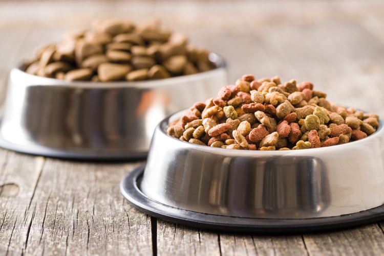 Pré-calibration, alimentation sèche pour animaux, solide