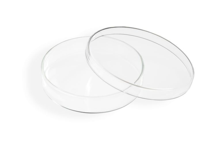 Petri dish, Duroplan, 100 mm, qty. 1