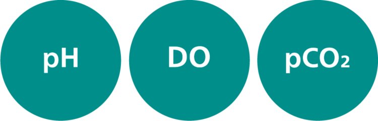 Metrohm Process Analytics, pH, DO, pCO2, dissolved oxygen, ProTrode DO sensor, ProTrode Inline, Process Analytics, Severinghaus principle, electrode, biotech, fermentation, Pharma, dissolved carbon dioxide, sensor, logo