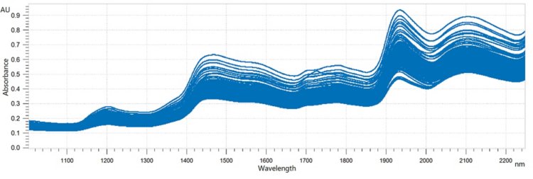 Overlaid NIR spectra of flour samples. Data was obtained with an OMNIS NIR Analyzer Solid.