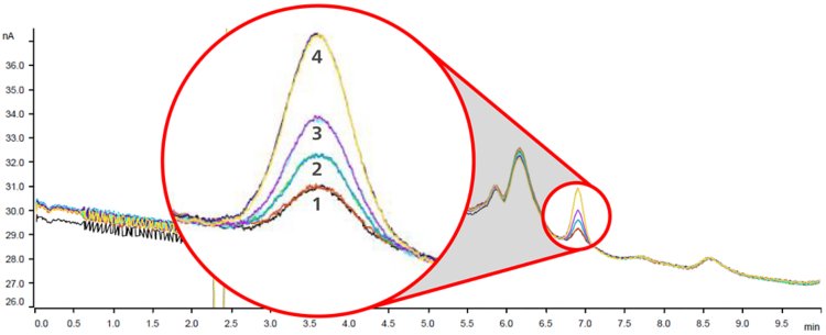 Overlay of chromatograms from the spiking tests performed on Sample 2. Iodide analyses were performed with a 930 Compact IC Flex equipped with dialysis. Separation was performed on a Metrosep A Supp 17 - 150/4.0 column. Inlay: 1) The sample was measured and the  natural  iodide  concentration  was  determined  to  be  105  μg/L. 2) The sample was spiked with 50 μg/L  iodide  and  the  determined  concentration was 157 μg/L. 3) The sample was spiked with 100 μg/L iodide and the determined concentration was 200 μg/L. 4) The sample was spiked with 200 μg/L iodide and the determined concentration was 304 μg/L.