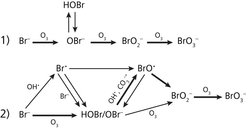 Mechanisms for the formation of bromate during ozonation.