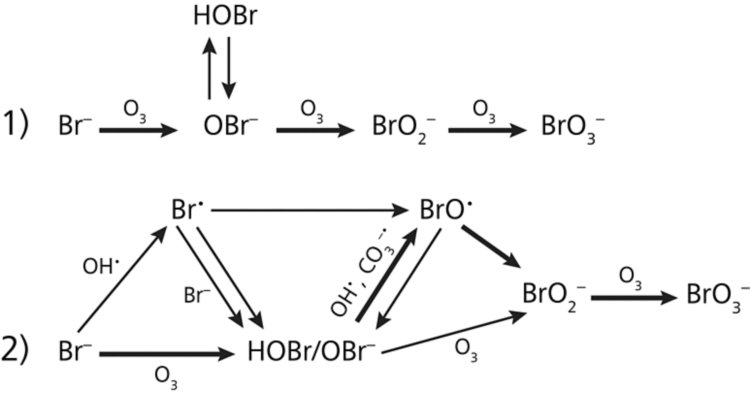 Mechanisms for the formation of bromate during ozonation.