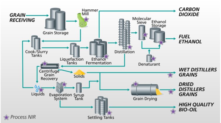 Illustration of a typical dry-grind ethanol process from grains with purple stars noting suggested process NIR analysis points.