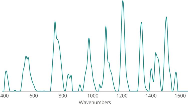 Reference Au NP SERS spectrum of DMT. 