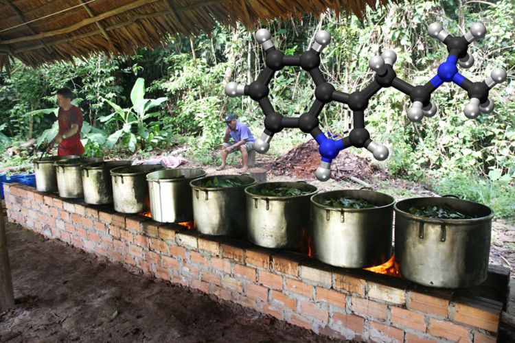 Trace Detection of DMT in Plant Matter Metrohm