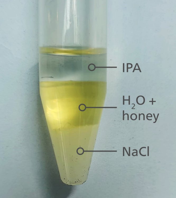 Solvent extraction procedure proved effective at moving target substances into an organic layer (IPA) 