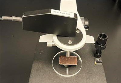 A chocolate sample on the probe holder.