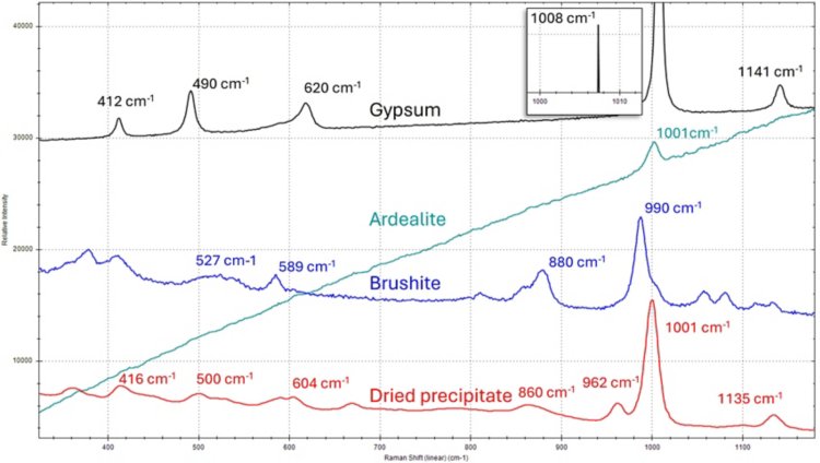 Raman spectra of dried precipitate compared with reference spectra of gypsum, brushite, and ardealite