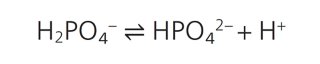 Equation 2