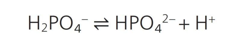 Equation 2