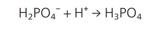 Equation 5
