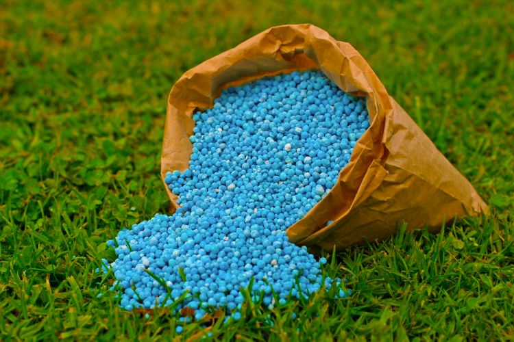 urea nitrogen fertilizer