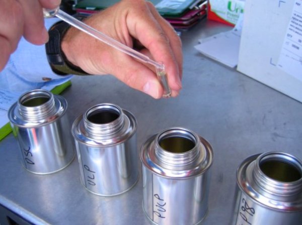 Die Proben werden in Einweggefäße mit einer Pfadlänge von 8 mm gefüllt.