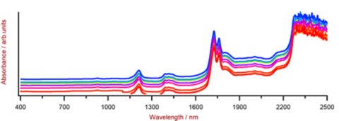 Selezione di spettri Vis-NIR di olio di palma ottenuti utilizzando un XDS RapidLiquid Analyzer e fiale monouso da 8 mm. Per motivi di visualizzazione è stato applicato un offset dello spettro.