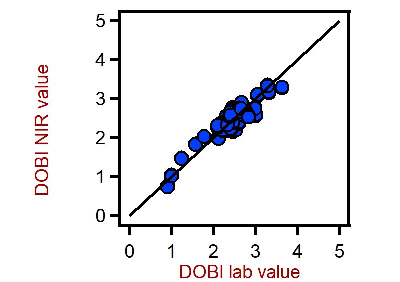 Correlation diagram for the prediction of the deterioration of bleachability index (DOBI) in palm oil using a XDS RapidLiquid Analyzer. The DOBI lab value was evaluated using photometry.