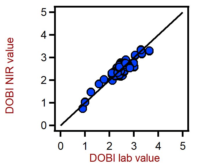 Diagrama de correlación para la predicción del deterioro del índice de blanqueabilidad (DOBI) en aceite de palma utilizando un XDS RapidLiquid Analyzer. El valor de laboratorio DOBI se evaluó mediante fotometría.