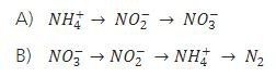 Reacción general de conversión biológica de nitrógeno en plantas de tratamiento de aguas residuales.     (A) Nitrificación y (B) desnitrificación. 