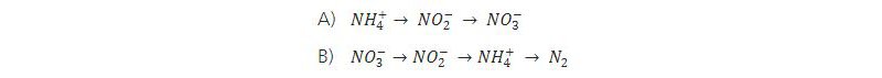 Overall reaction of biological nitrogen conversion in wastewater treatment plants.     (A)     Nitrification     and     (B)     denitrification. 