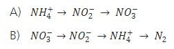 廃水処理プラントにおける生物学的窒素変換の全体的な反応。 (A) 硝化と (B) 脱窒素