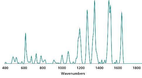 Gold NP SERS standard reference spectrum of Rhodamine B.