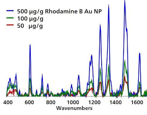 Gold NP SERS concentration profile of RhB extracted from adulterated cayenne powder. Spectra are baselined, with Au NP and control subtracted.