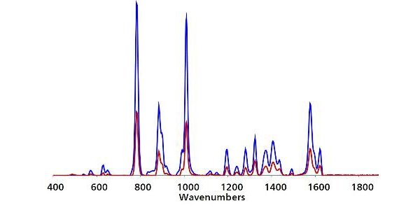 Direct testing of an untreated non-organic banana purchased from a grocery store returned an Ag P-SERS spectrum consistent with detection of TBZ.