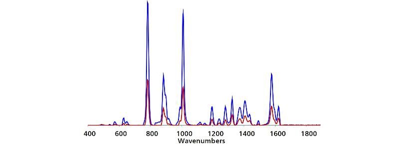 Direct testing of an untreated non-organic banana purchased from a grocery store returned an Ag P-SERS spectrum consistent with detection of TBZ.