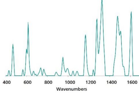 Standard SERS reference spectrum of erythrosine B.