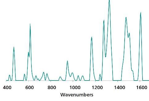 Standard SERS reference spectrum of erythrosine B.