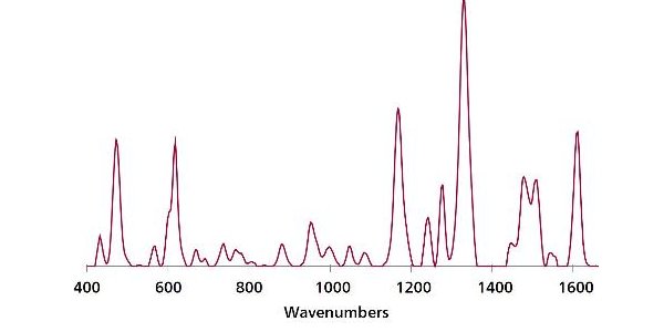 Overlaid, baselined, background-subtracted SERS spectra of EB in sugar with Misa and Au NPs.