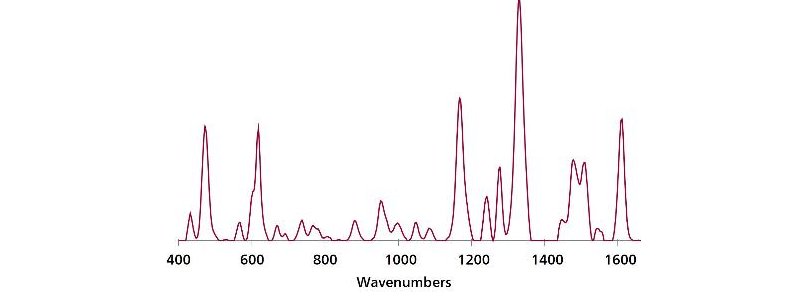 Overlaid, baselined, background-subtracted SERS spectra of EB in sugar with Misa and Au NPs.