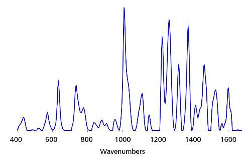 Standard SERS Au NP carbendazim reference spectrum.