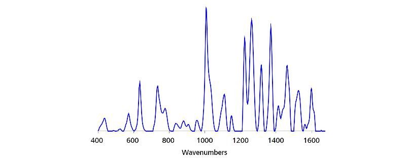 Standard SERS Au NP carbendazim reference spectrum.