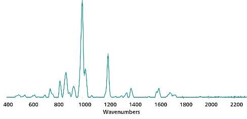 Spettro di riferimento standard SERS Au NP per l'aspartame in acqua.
