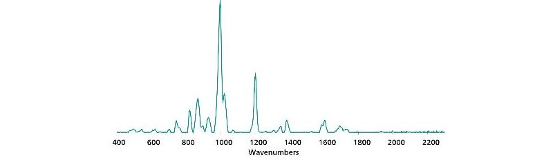 Standard SERS Au NP reference spectrum for aspartame in water.