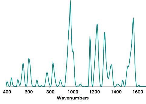 Unique standard reference Au NP SERS pyrimethanil spectrum.