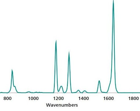 Standard reference SERS Au NP spectrum of paraquat.