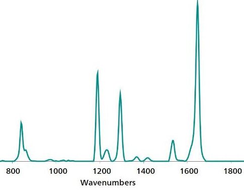 Espectro estándar de referencia SERS Au NP de paraquat.